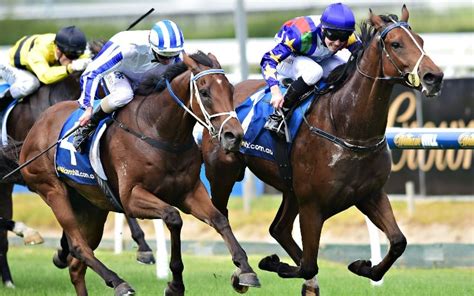 Queensland Derby Betting Tips, Odds & Bookmaker .